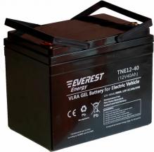 Аккумулятор тяговый Everest energy TNE 12-40