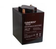 Аккумулятор тяговый Everest energy TNE 6-245